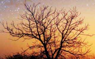 The Dólar in Colombia: Today's Price & the Real Story