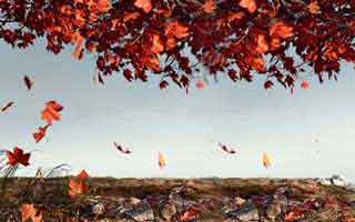 India's Economy Surges: The Hype vs. The Grim Reality - Twitter Explodes