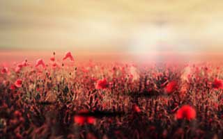 Zcash: The Path to $1,000 and Beyond